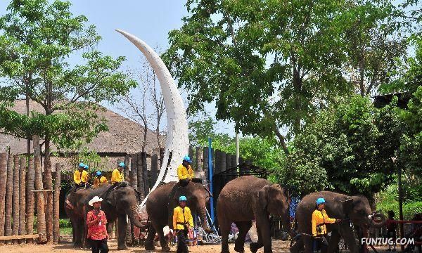 วันช้างในประเทศไทย