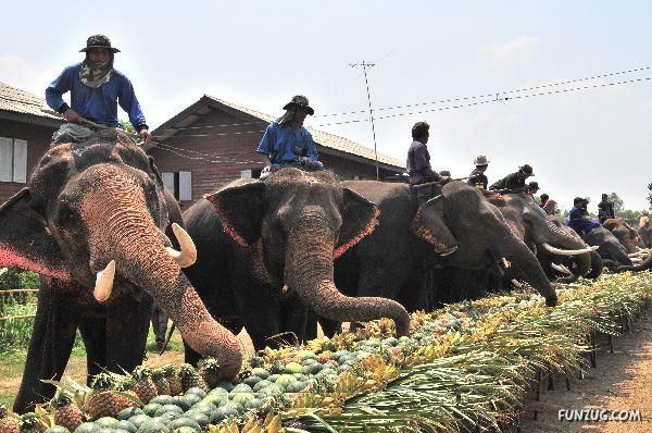 วันช้างในประเทศไทย