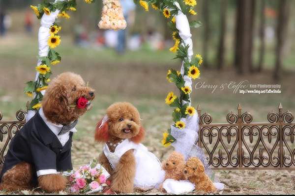 รูป Wedding ที่น่ารัก