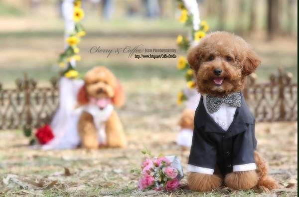 รูป Wedding ที่น่ารัก