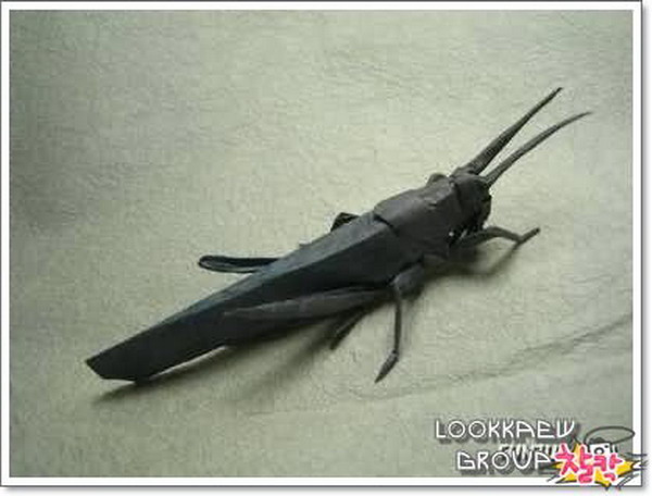 แมลงกระดาษ ( 2 )