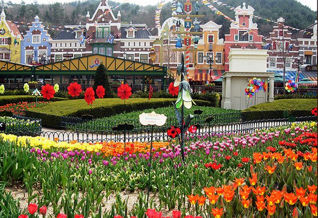 สวนดอกทิวลิปที่ Everland เกาหลีใต้