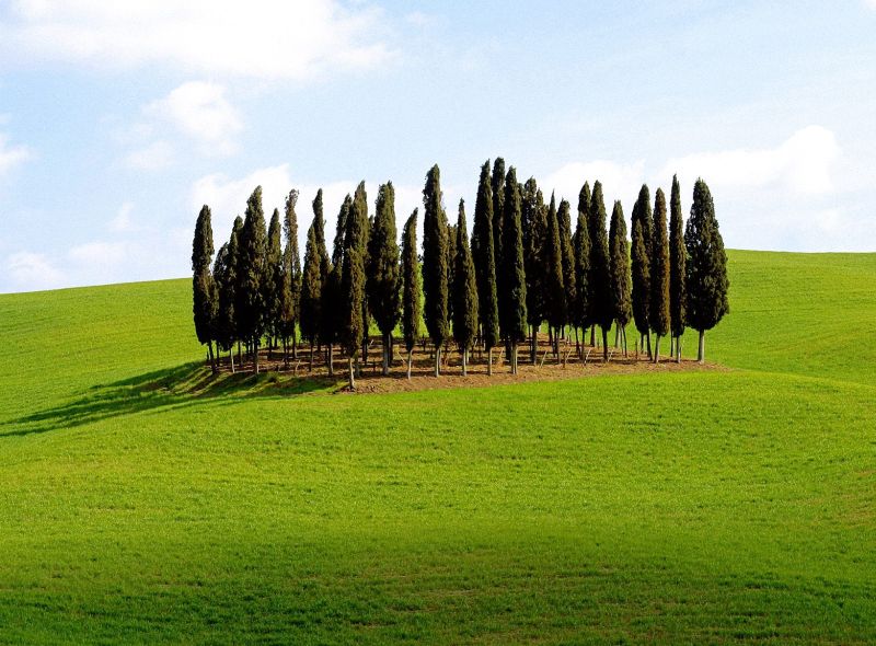 Scenic Siena Province Tuscany