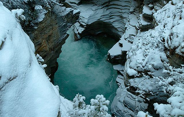 Jasper National Park, Alberta, Canada