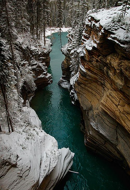 Jasper National Park, Alberta, Canada