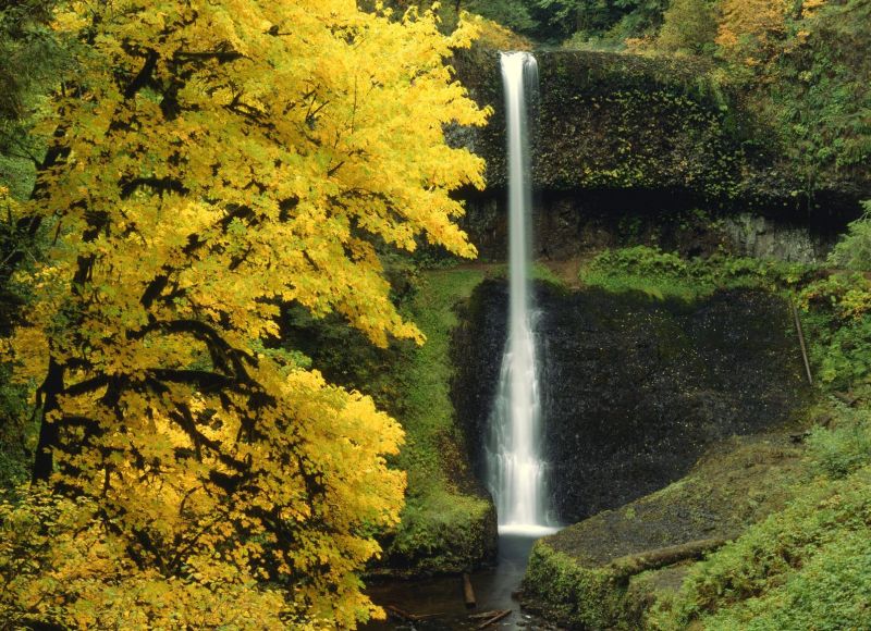 Middle North Falls, Silver Falls, Oregon