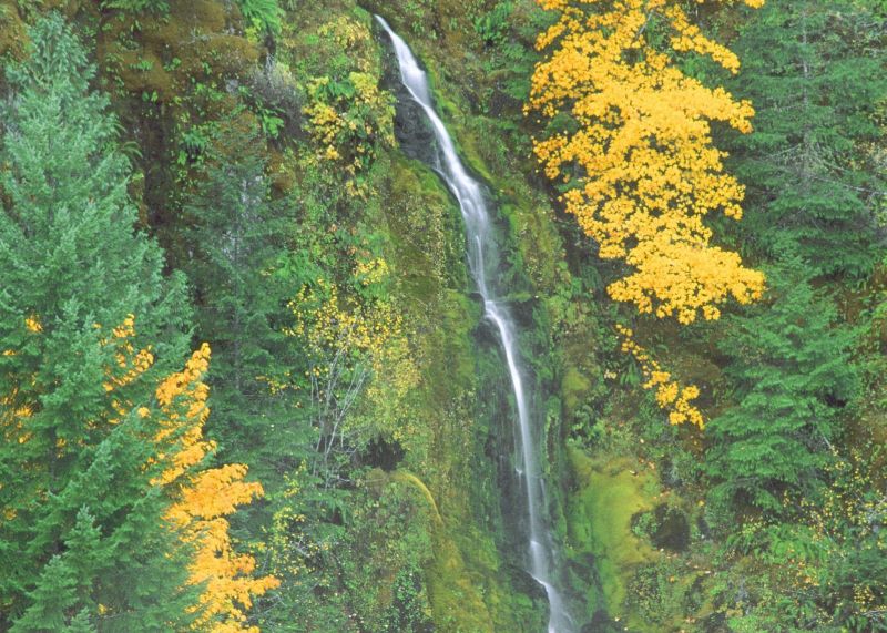Terwilliger Hot Springs Fall Oregon