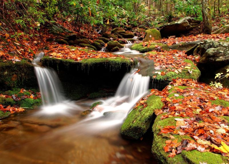Wesser Creek In Autumn, Nantahala National Forest, North Carolina