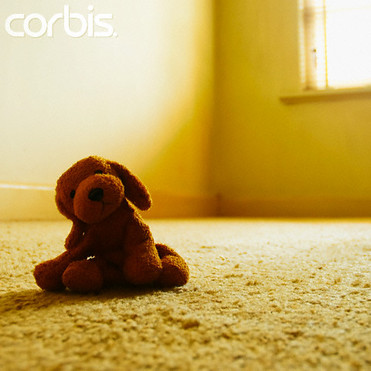 อีกกี่ลมหนาว..(LONELY BEAR)..