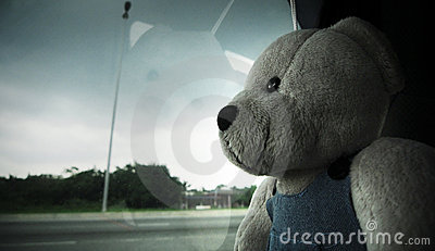 อีกกี่ลมหนาว..(LONELY BEAR)..