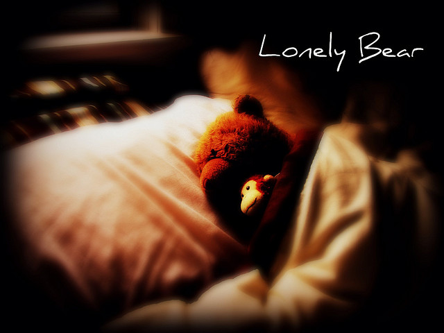 อีกกี่ลมหนาว..(LONELY BEAR)..