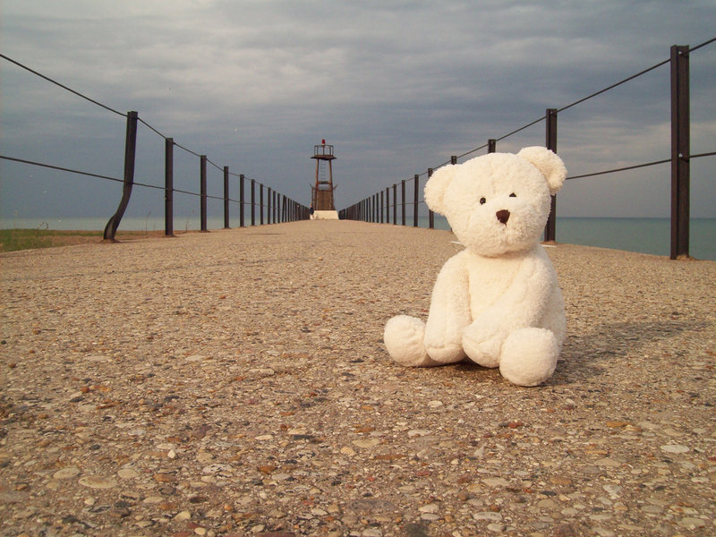 อีกกี่ลมหนาว..(LONELY BEAR)..