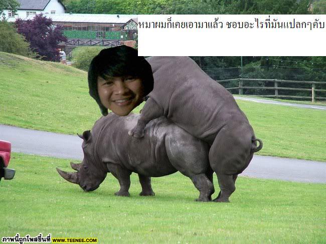 เกย์ขั้นเทพ