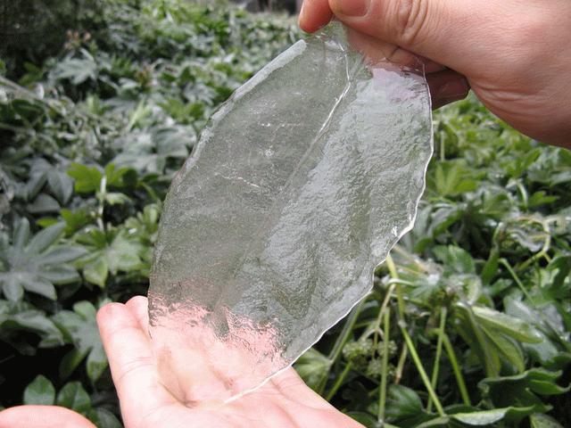 After ice rain in South China‏