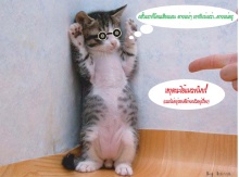 ไม่รู้จะขำกันรึเปล่า...แต่ตั้งใจทำนะ