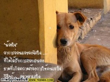 ~*~เรื่องของใจ~*~