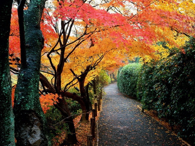 Kyoto, Japan 