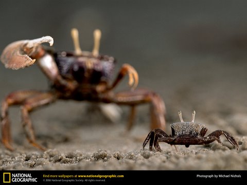 สุดยอดภาพ National Geographic (1)