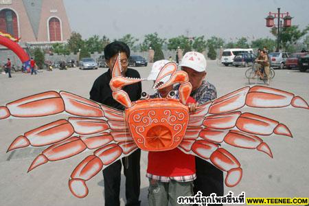 Kite-flying contest held in north China city