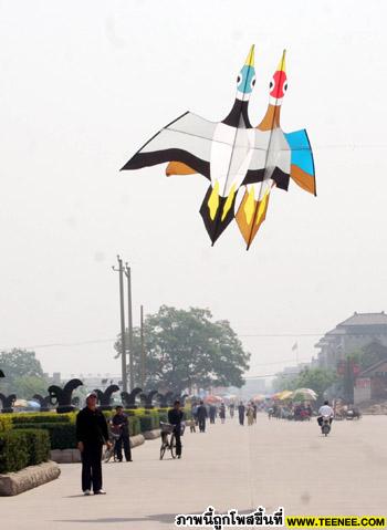 Kite-flying contest held in north China city