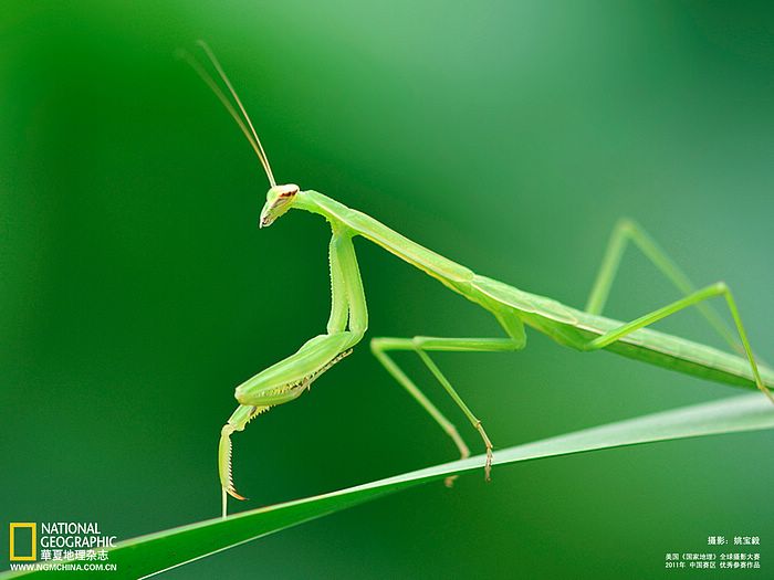 สำรวจโลกกับNATIONAL GEOGRAPHIC (1)