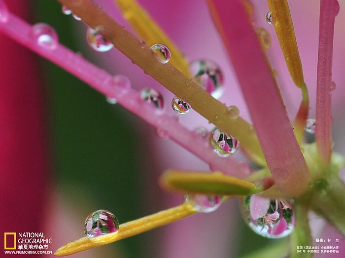 สำรวจโลกกับNATIONAL GEOGRAPHIC (1)