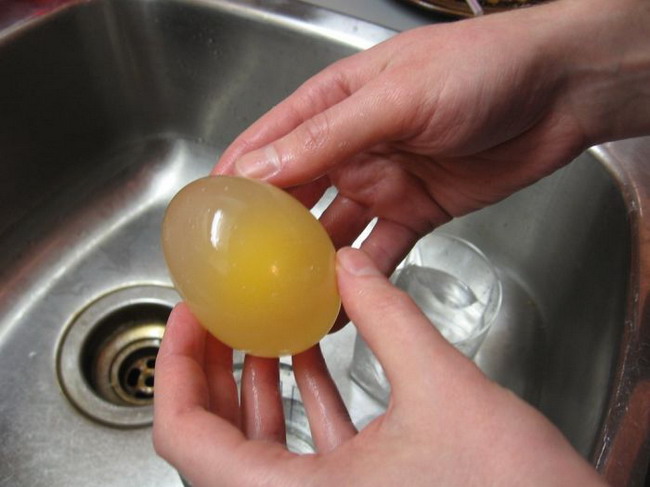 เอาไข่ไปแช่น้ำส้มสายชู เกิดผลลัพธ์สุดเหลือเชื่อ