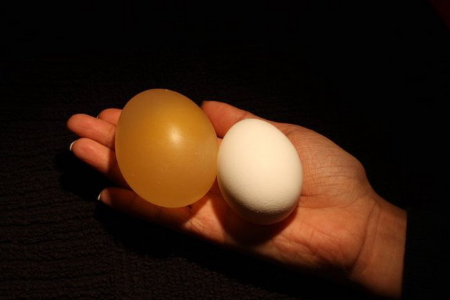 เอาไข่ไปแช่น้ำส้มสายชู เกิดผลลัพธ์สุดเหลือเชื่อ