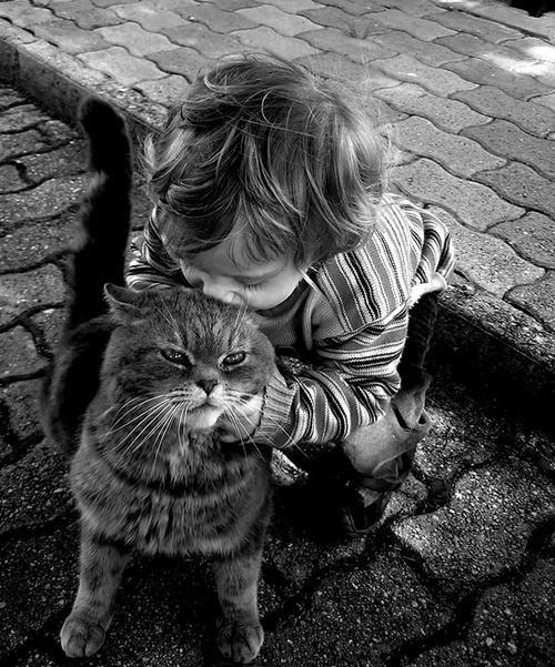 ภาพน่ารักของ \"เด็กน้อยกับสัตว์เลี้ยงแสนรู้\"