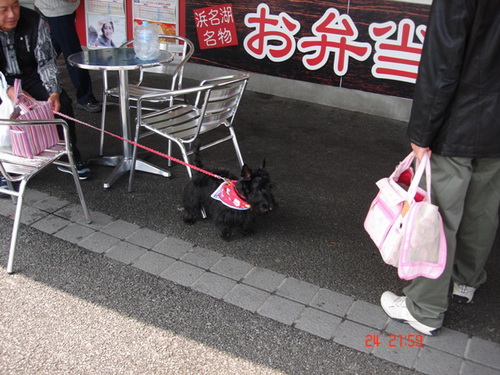 ที่ญี่ปุ่นเค้าก็รักหมากันนะ