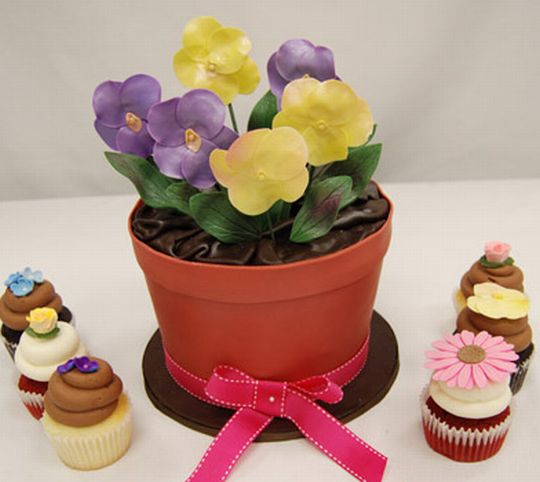cupcake ดอกไม้สวยๆ