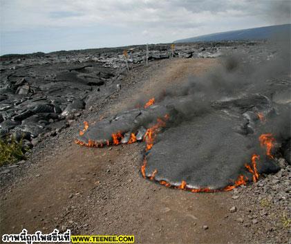 สายผสมน่ากลัว ( Lava )