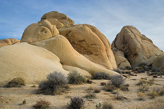 Joshua Tree National Park