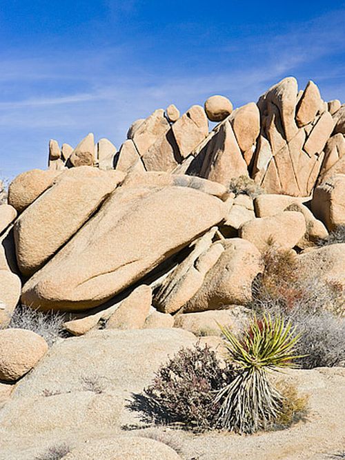 Joshua Tree National Park