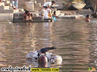 Khongka River life of India