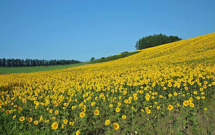 Incredible Landscapes •:*´¨`*:• <(￣︶￣)/ 2