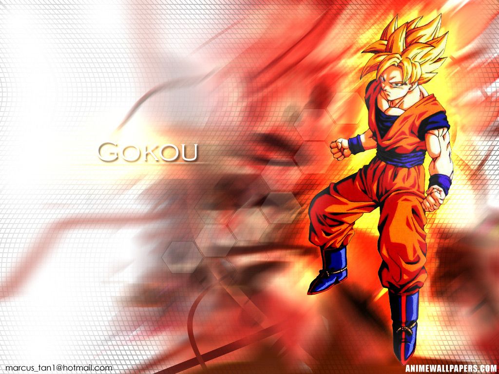 * ~ Dragon Ball Z ~ *