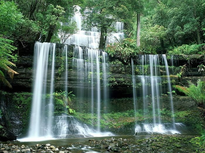 Russell Falls Mount Field National Park Tasmania