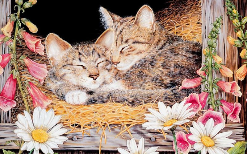 ~Cat Painting ~