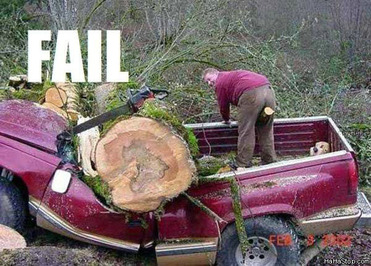 ผลกระทบของการตัดไม้ทำลายป่า