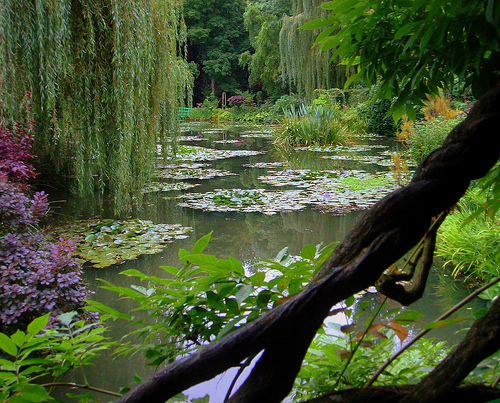 Monet’s garden in France