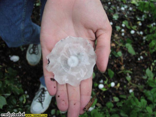 ICE Rain in Minnesota,USA (จากภาวะโลกร้อน)