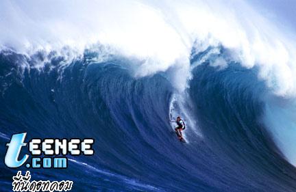 Big Wave Surfing  หวาดเสียว !!!