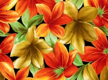 Flowers Paintings..2