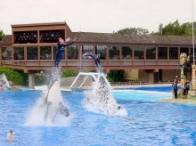 Sea world at San diego, U.S.A 