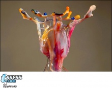 Liquid Sculptures (Art) สวยมาก-2