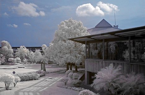 @ Best Infrared Photography @