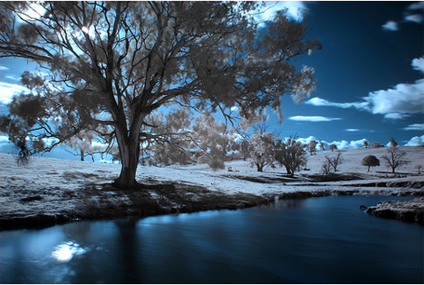 @ Best Infrared Photography @
