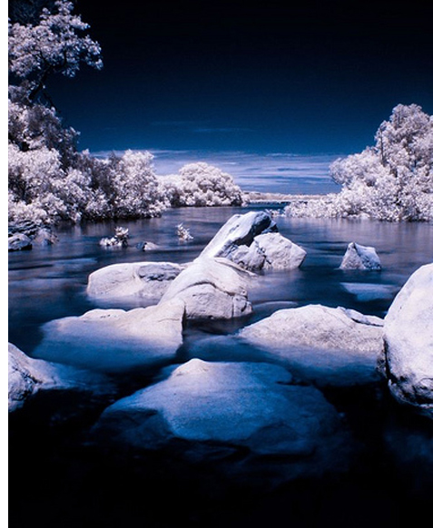 @ Best Infrared Photography @