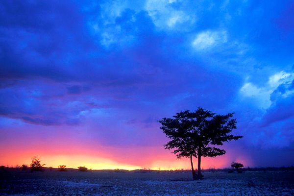 **Etosha National Park in Namibia** (1)